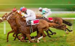 ม้าแข่งระดับโลก กับ ufabet: สุดยอดประสบการณ์เดิมพันกีฬา