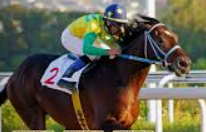 แทงม้าออนไลน์สด ufabet เสน่ห์แห่งความเร็วและกลยุทธ์ที่นักเดิมพันไม่ควรพลาด