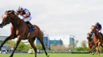 เทคนิคจับม้ารอง ufabet พลังแห่งกลยุทธ์เดิมพันม้าแข่งที่ทำกำไรได้จริง